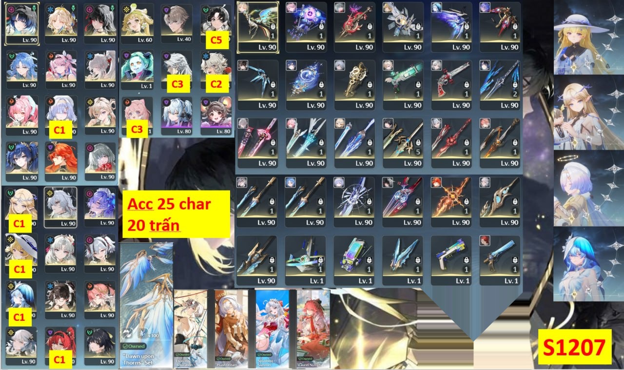 S1207 thumbnail 2