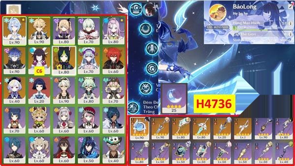 H4736 — screenshot 1