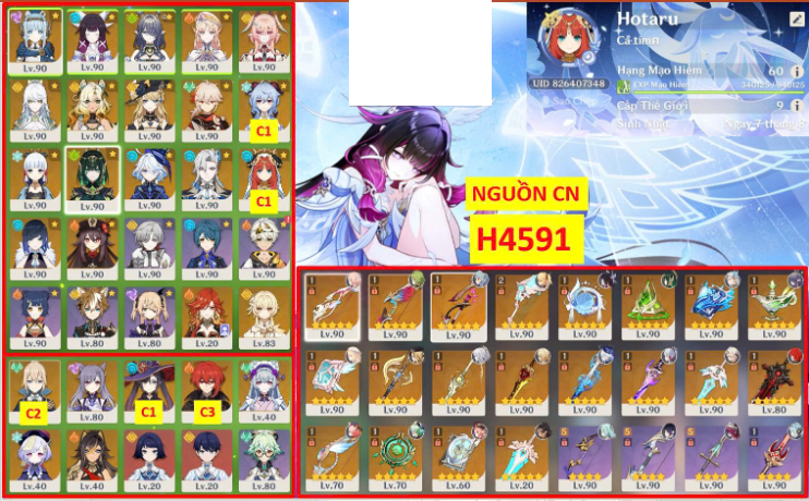 H4591